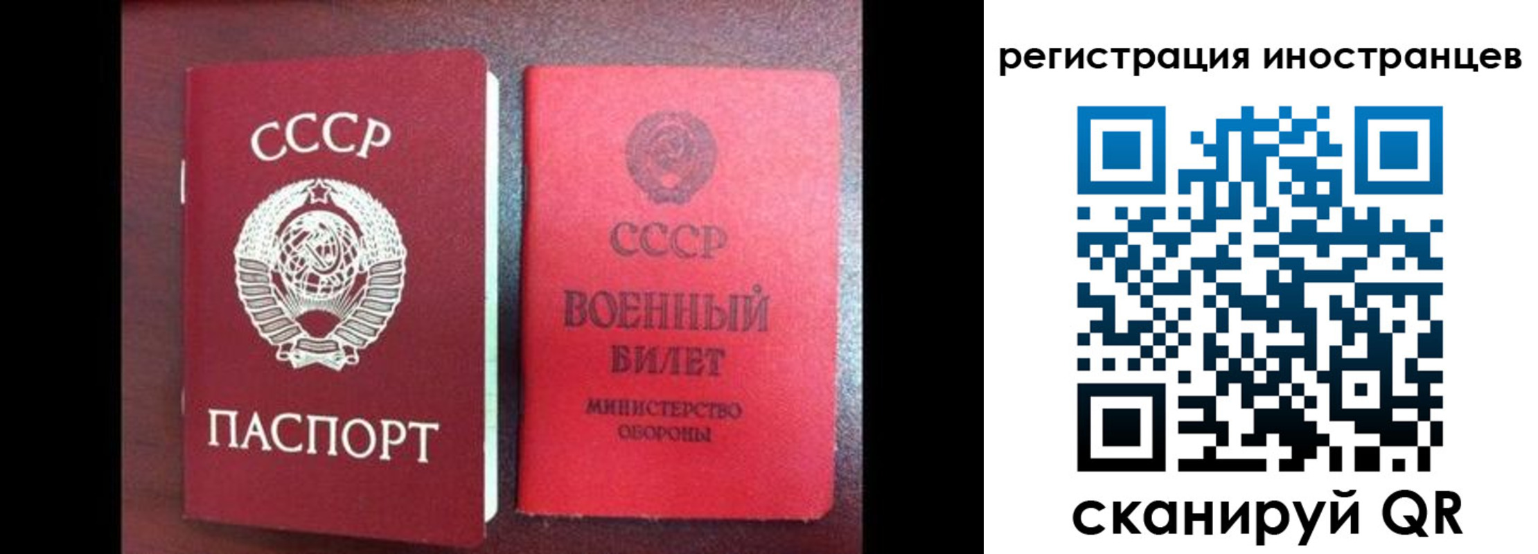 временная регистрация для всех в Таре